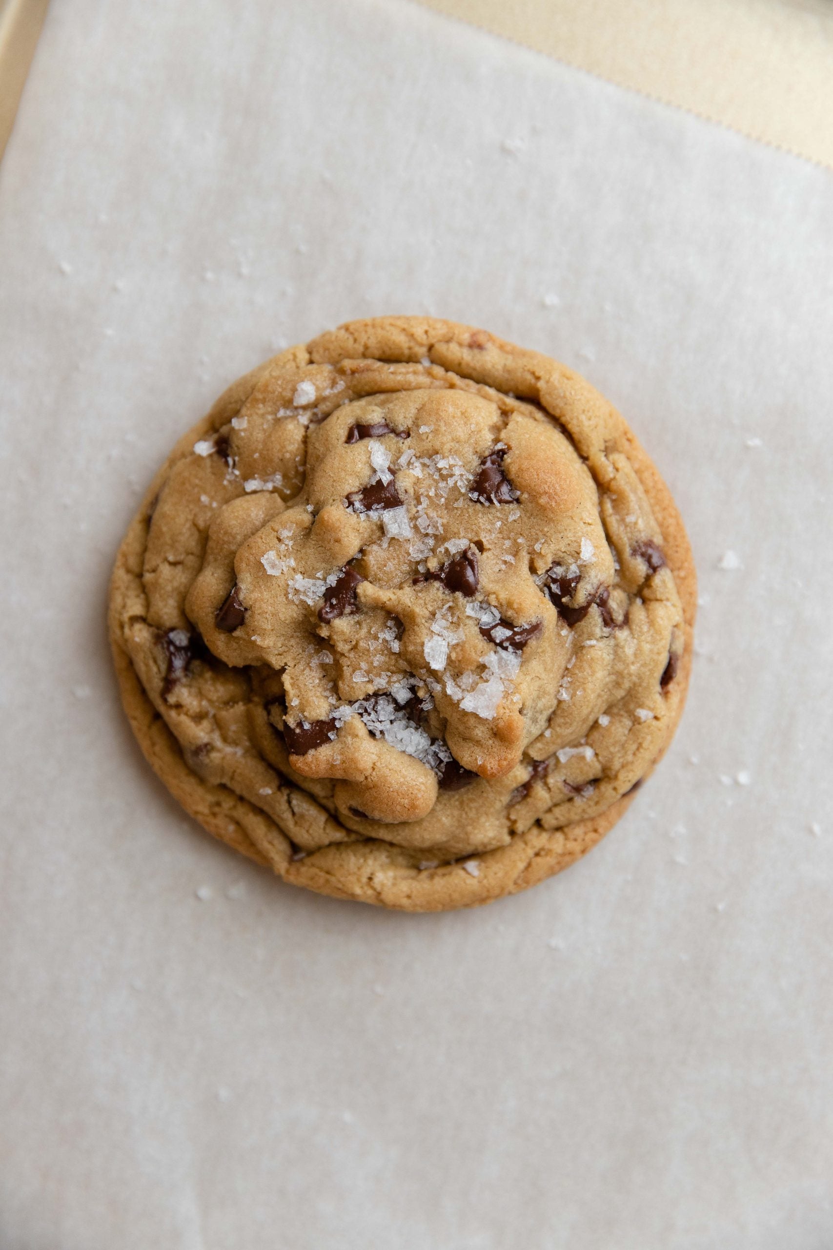 Classic Chocolate Chip Cookie